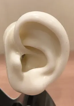 oreille-ric.webp